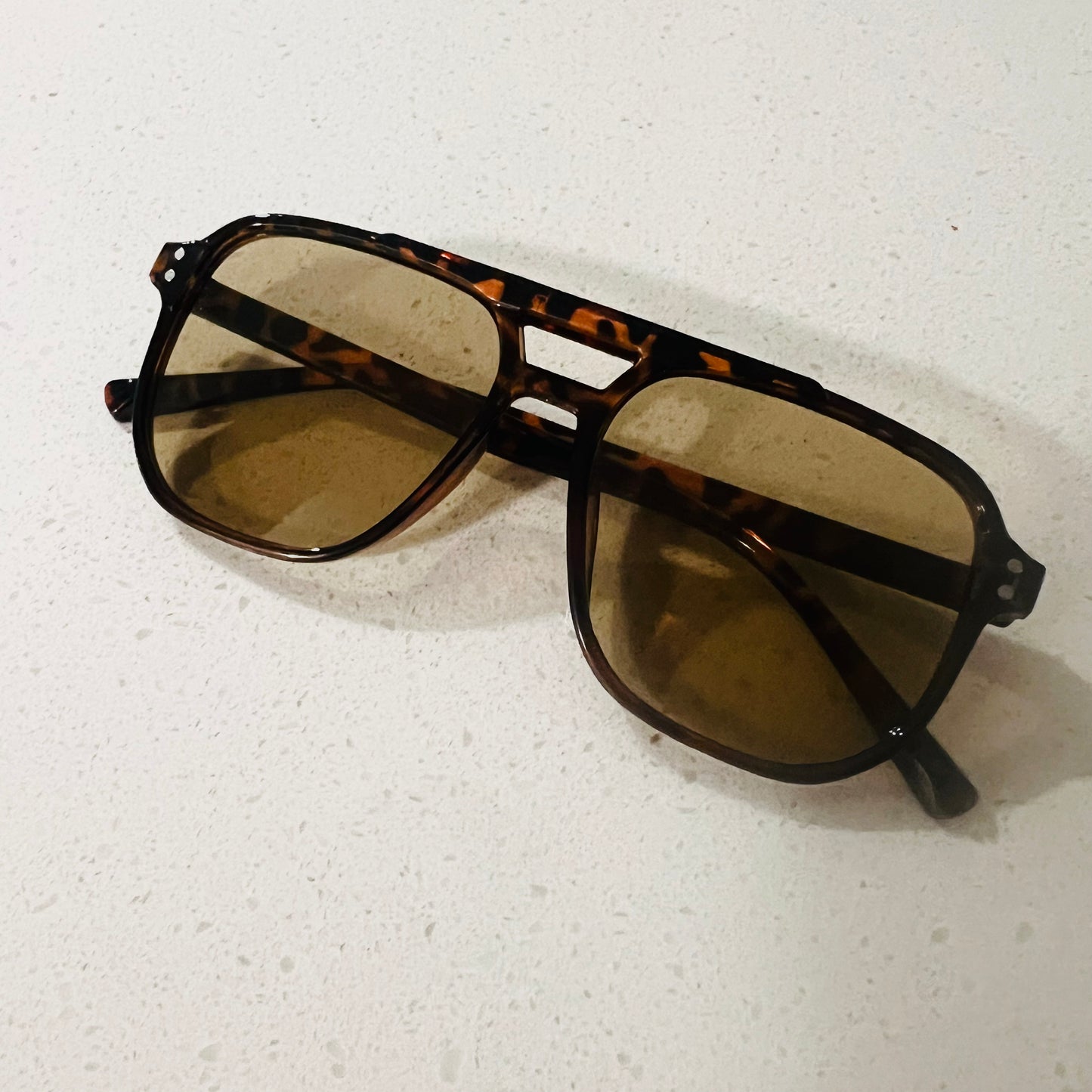 Shaggy tortoise - 033