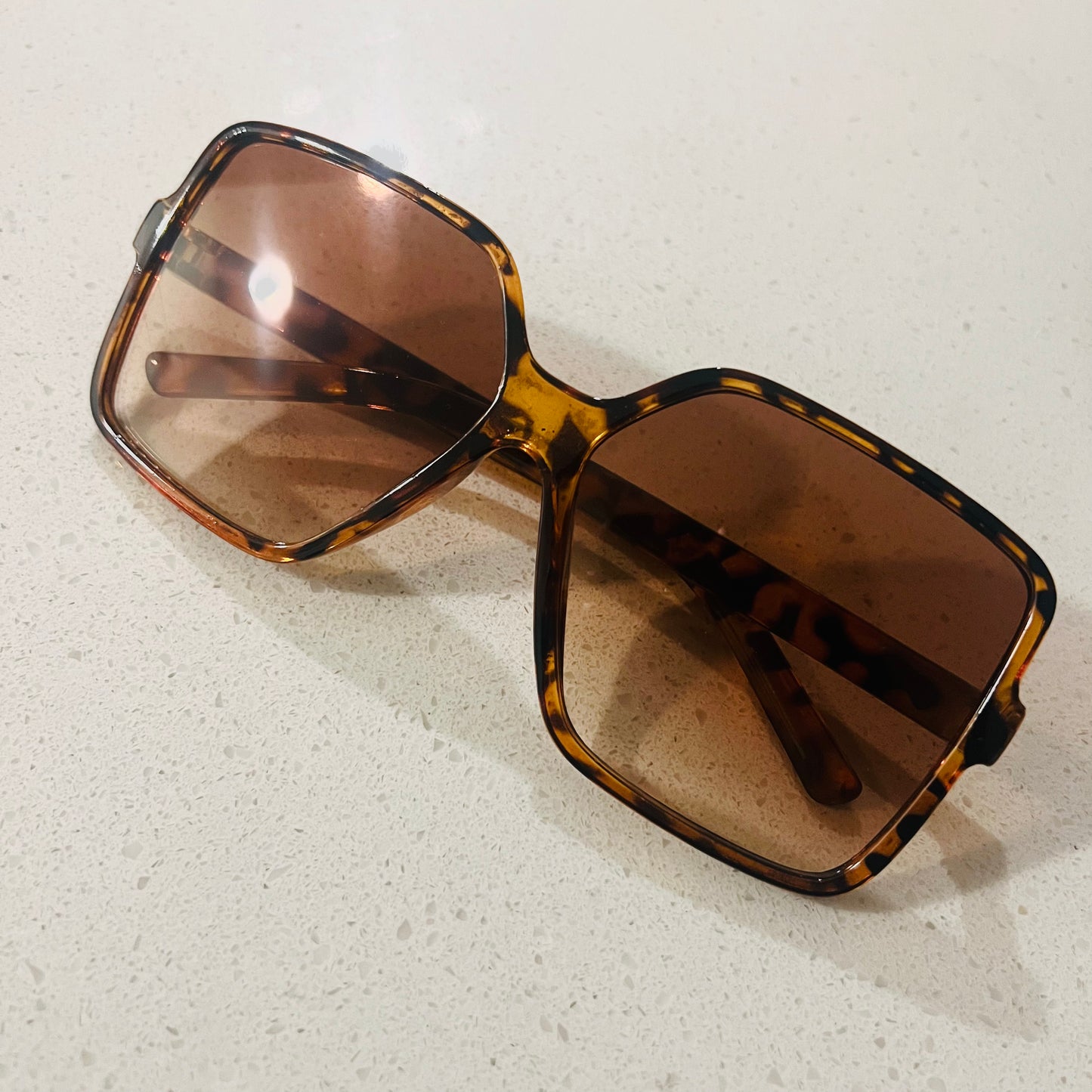 Classic tortoise - 021