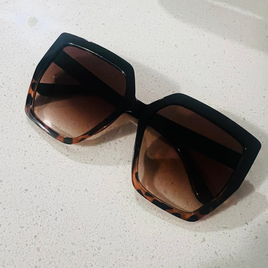 Giant tortoise - 026